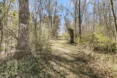 4454 Cottageville Highway, Round O, SC 29474 - Photo 57