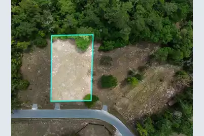 0 Capers Road, Walterboro, SC 29488 - Photo 1