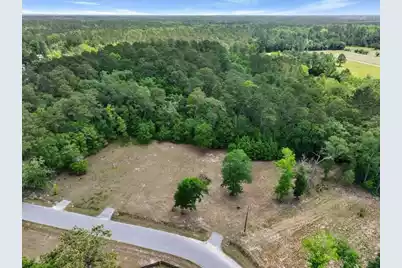 0 Capers Road, Walterboro, SC 29488 - Photo 5