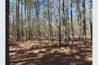 Bhl 10 Boise Cascade #Bhl 10, Bethune, SC 29009 - Photo 5