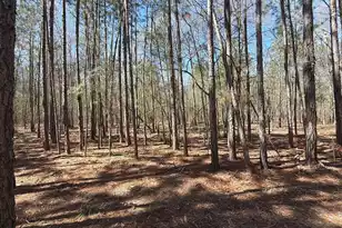 Bhl 10 Boise Cascade #Bhl 10, Bethune, SC 29009 - Photo 5