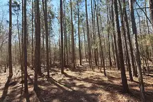 Bhl 10 Boise Cascade #Bhl 10, Bethune, SC 29009 - Photo 1