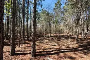 Bhl 10 Boise Cascade #Bhl 10, Bethune, SC 29009 - Photo 11