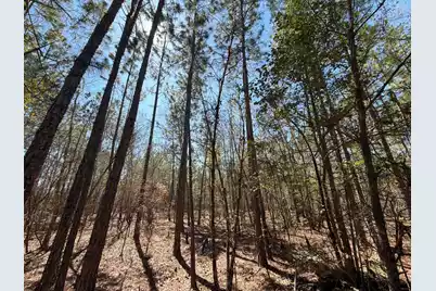 Bhl 10 Boise Cascade #Bhl 10, Bethune, SC 29009 - Photo 13