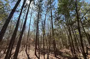 Bhl 10 Boise Cascade #Bhl 10, Bethune, SC 29009 - Photo 13