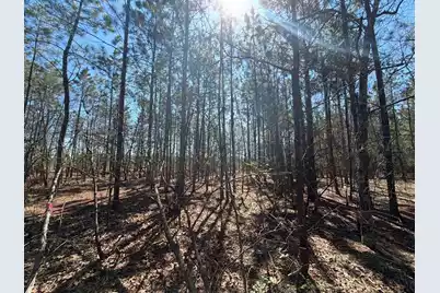 Bhl 10 Boise Cascade #Bhl 10, Bethune, SC 29009 - Photo 19