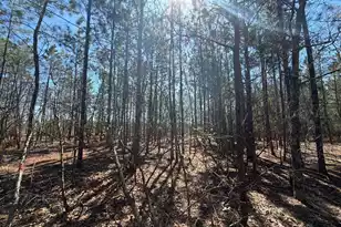 Bhl 10 Boise Cascade #Bhl 10, Bethune, SC 29009 - Photo 19