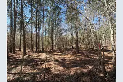 Bhl 10 Boise Cascade #Bhl 10, Bethune, SC 29009 - Photo 9