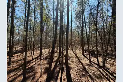 Bhl 10 Boise Cascade #Bhl 10, Bethune, SC 29009 - Photo 15