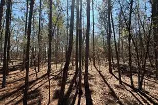 Bhl 10 Boise Cascade #Bhl 10, Bethune, SC 29009 - Photo 15