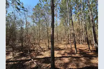 Bhl 10 Boise Cascade #Bhl 10, Bethune, SC 29009 - Photo 17