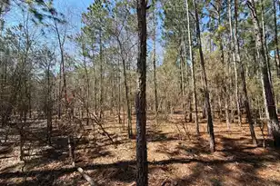 Bhl 10 Boise Cascade #Bhl 10, Bethune, SC 29009 - Photo 17