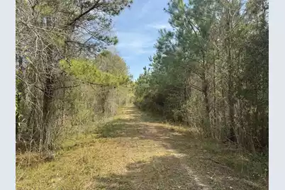 0 Getaway Lane, Pinopolis, SC 29469 - Photo 7