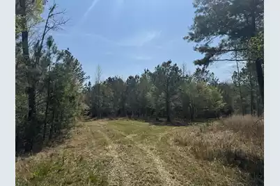 0 Getaway Lane, Pinopolis, SC 29469 - Photo 5