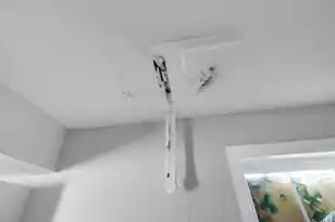 30 Poinsett St, Charleston, SC 29403 - Photo 31