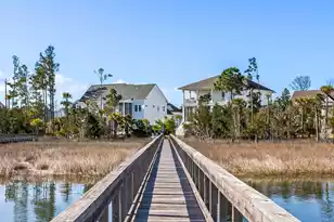 2922 River Vista Way, Mount Pleasant, SC 29466 - Photo 53