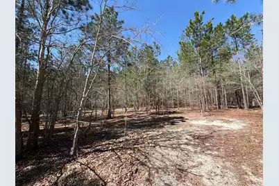 Bhl 11 Boise Cascade #Bhl 11, Bethune, SC 29009 - Photo 17