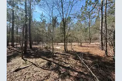 Bhl 11 Boise Cascade #Bhl 11, Bethune, SC 29009 - Photo 21