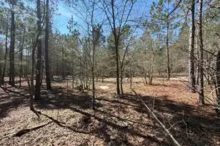 Bhl 11 Boise Cascade #Bhl 11, Bethune, SC 29009 - Photo 21