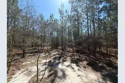 Bhl 11 Boise Cascade #Bhl 11, Bethune, SC 29009 - Photo 19