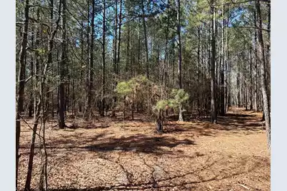 Bhl 11 Boise Cascade #Bhl 11, Bethune, SC 29009 - Photo 13