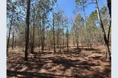 Bhl 11 Boise Cascade #Bhl 11, Bethune, SC 29009 - Photo 23