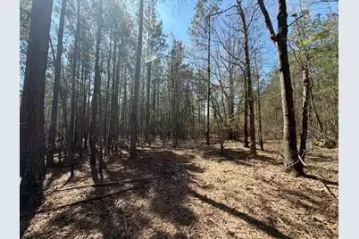 Bhl 11 Boise Cascade #Bhl 11, Bethune, SC 29009 - Photo 15