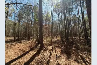 Bhl 11 Boise Cascade #Bhl 11, Bethune, SC 29009 - Photo 5