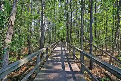 3464 Billings Street, Mount Pleasant, SC 29466 - Photo 45