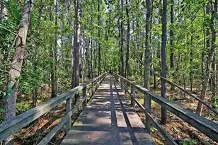 3464 Billings St, Mount Pleasant, SC 29466 - Photo 45