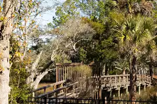 3891 Sawyers Island Dr, Mount Pleasant, SC 29466 - Photo 65