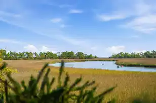 23 Cormorant Island Ln, Kiawah Island, SC 29455 - Photo 149