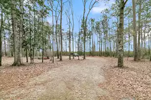 7769 Old Jacksonboro Rd, Adams Run, SC 29426 - Photo 43