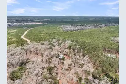 7769 Old Jacksonboro Road, Adams Run, SC 29426 - Photo 49