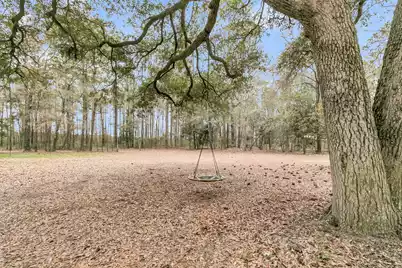 7769 Old Jacksonboro Road, Adams Run, SC 29426 - Photo 39