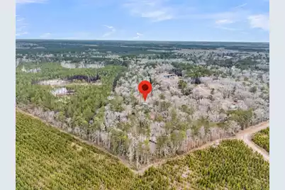 7769 Old Jacksonboro Road, Adams Run, SC 29426 - Photo 47