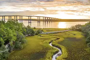 401 Creek Landing St, Daniel Island, SC 29492 - Photo 151