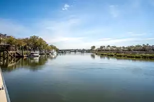 401 Creek Landing St, Daniel Island, SC 29492 - Photo 129