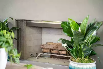 401 Creek Landing Street, Daniel Island, SC 29492 - Photo 29