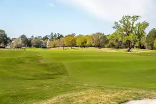 401 Creek Landing St, Daniel Island, SC 29492 - Photo 41