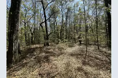 5194 Kuzia Road, Meggett, SC 29449 - Photo 7