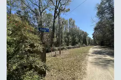 5194 Kuzia Road, Meggett, SC 29449 - Photo 3