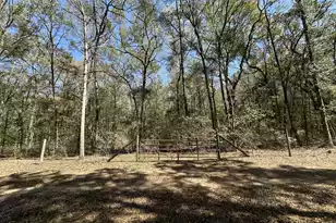 5194 Kuzia Rd, Meggett, SC 29449 - Photo 1