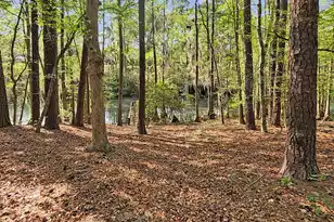 384 Suwanee Dr, Vance, SC 29163 - Photo 33