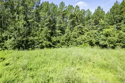 1336 Wood Sorrel Drive, Moncks Corner, SC 29461 - Photo 15