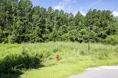 1336 Wood Sorrel Drive, Moncks Corner, SC 29461 - Photo 17