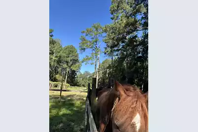 696 Bedon Road, Walterboro, SC 29488 - Photo 7