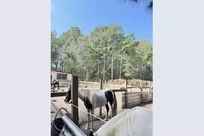 696 Bedon Road, Walterboro, SC 29488 - Photo 5