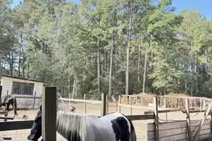 696 Bedon Rd, Walterboro, SC 29488 - Photo 5