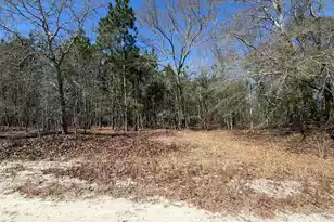 Bhl 12 Boise Cascade #Bhl 12, Bethune, SC 29009 - Photo 11